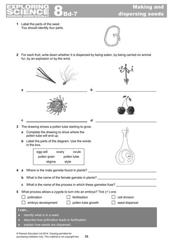 Download File. . Exploring science 8b quick quiz answers
